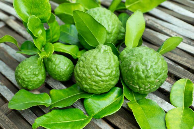 BERGAMOT UÇUCU YAĞI (BERGAMOT ESSENTİAL OİL)