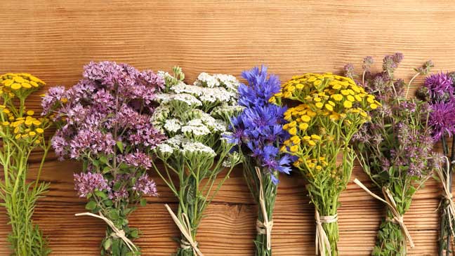 ORAL BAKIMDA  ETKİLİ FİTOTERAPÖTİK VE AROMATERAPÖTİKLER