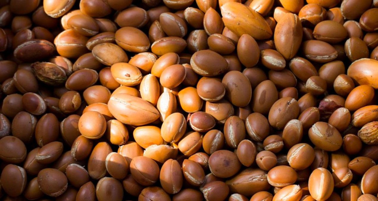ARGAN YAĞI (Argania spinosa Kernel Oil